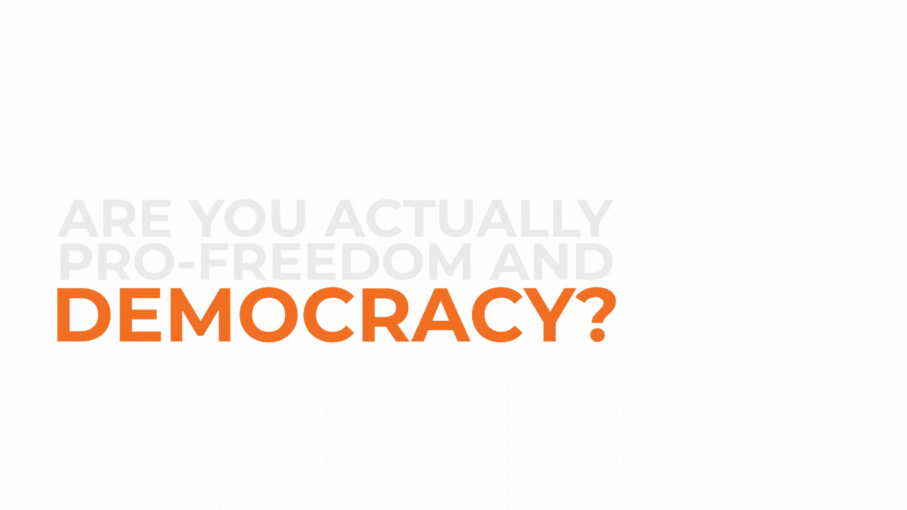What is the definition of being “Pro Freedom and Democracy” Do You meet the definition?